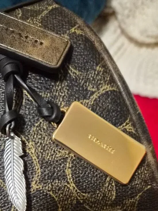 Coach Rowan Satchel Bag In Loved Signature Canvas With Charms CDY16 - BNWT - - Picture 12 of 17